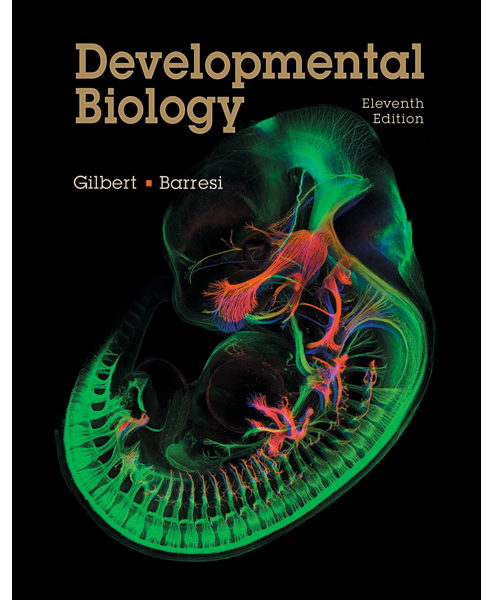 Developmental Biology, Eleventh Edition Instructor Resources