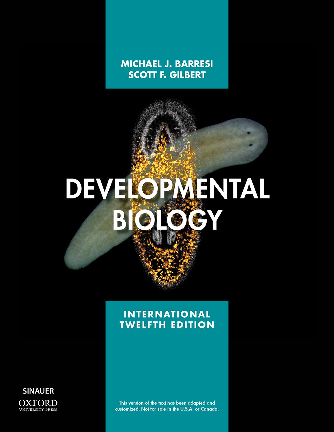 developmental biology research articles